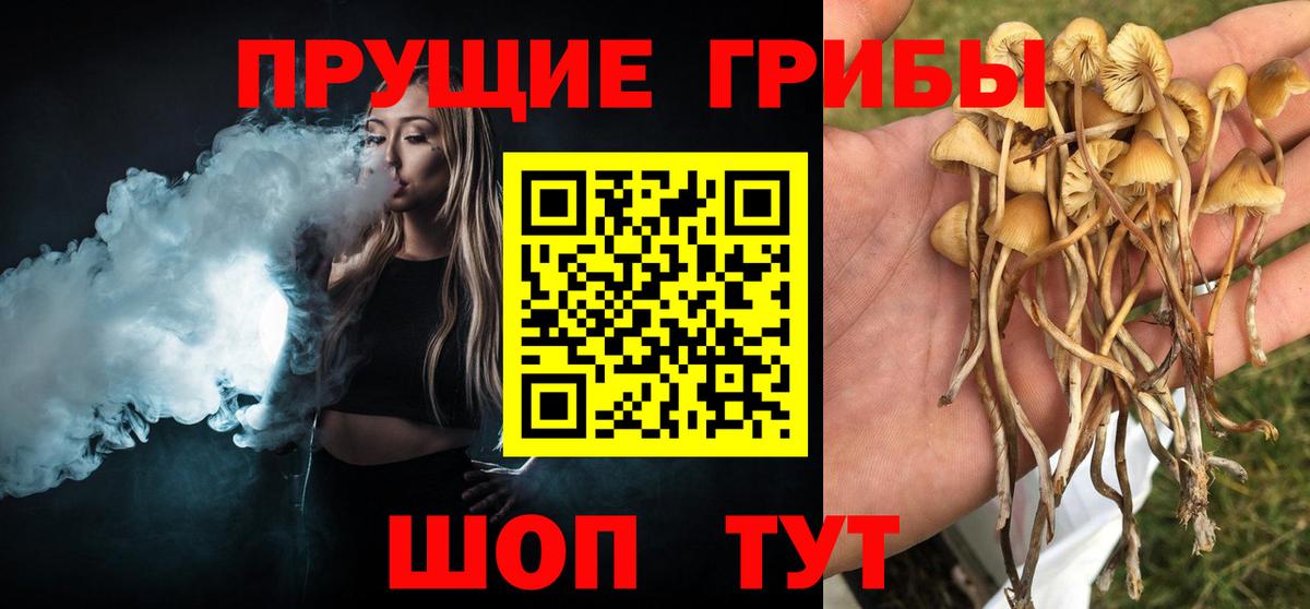 Псилоцибиновые грибы Psilocybe  Псилоцибиновые грибы мухоморы  Нефтекумск  Вход с VPN 